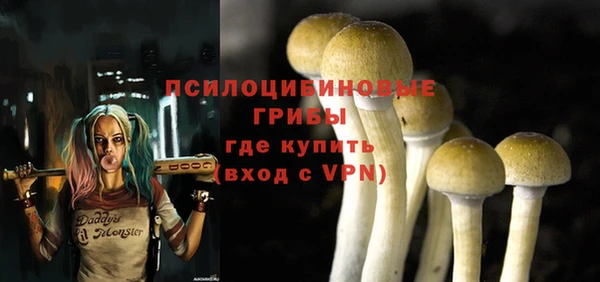 гидра Кодинск