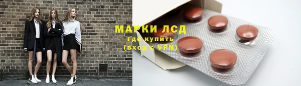 гидра Кодинск