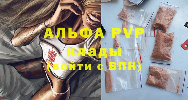 гидра Кодинск