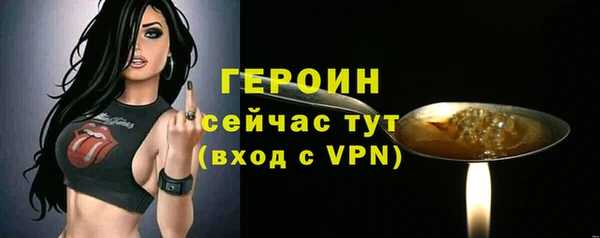 гидра Кодинск