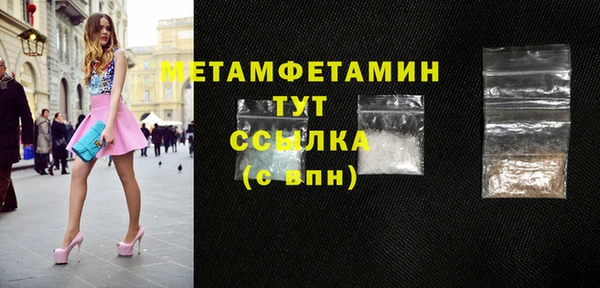 гидра Кодинск