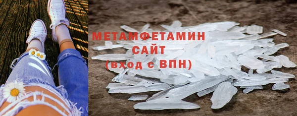 гидра Кодинск
