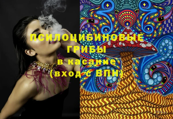 гидра Кодинск