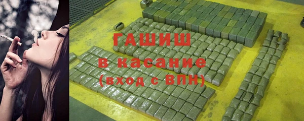 гидра Кодинск