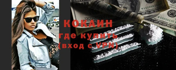 гидра Кодинск