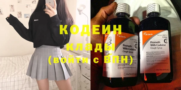 гидра Кодинск