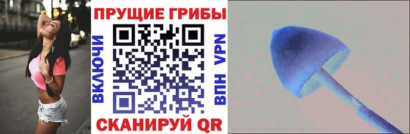 Купить закладки  Жирновск  Псилоцибиновые грибы GOLDEN TEACHER 
